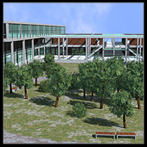 College, Campus scene