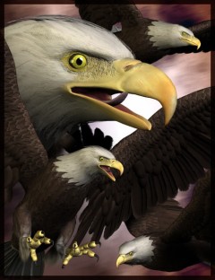 Eagle 2.0