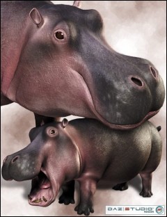 3D Hippo