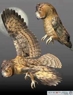 Noggin's Poser Owl