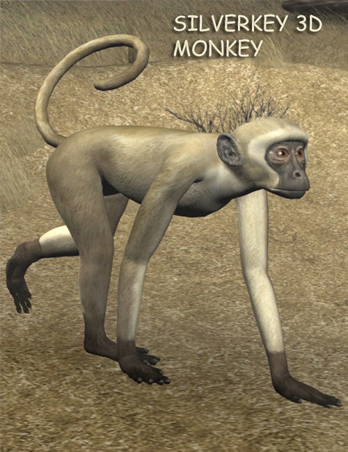 Click here to see preview images for "SilverKey 3d Monkey" SilverKey 3d Monkey