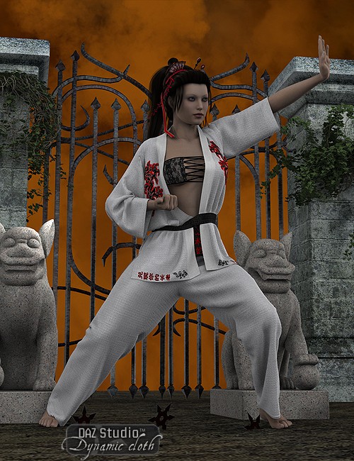 Click here to see preview images for "Dynamic Martial Arts Gi for Michael and Victoria 4" Dynamic Martial Arts Gi for Michael and Victoria 4