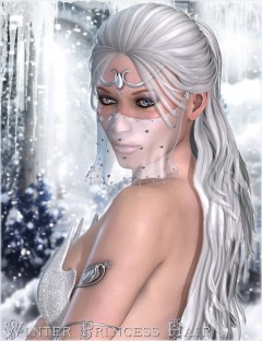Winter Princess Hair