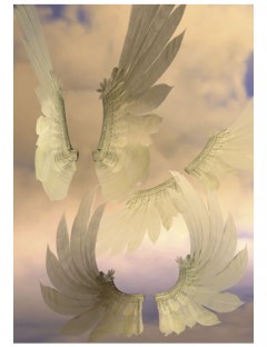 Dreamer Wings