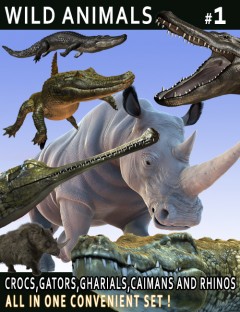 Wild Animals 1 by AM