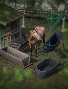 Equestrian Props