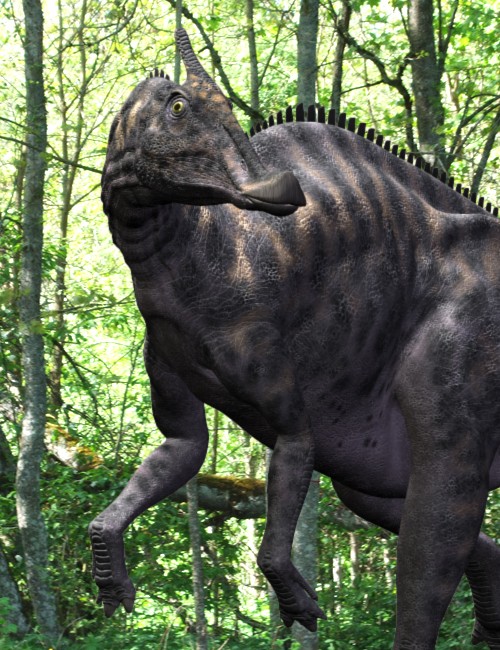 Click here to see preview images for "SaurolophusDR" SaurolophusDR