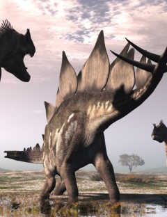 StegosaurusDR