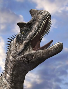 Ceratosaurus