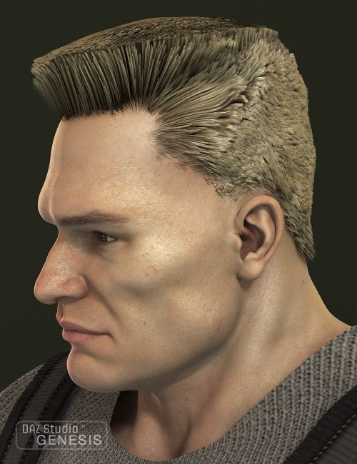 Click here to see preview images for "Flat Top Hair" Flat Top Hair