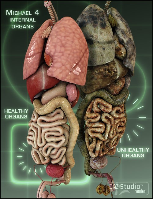 Click here to see preview images for "Michael 4 Internal Organs" Michael 4 Internal Organs