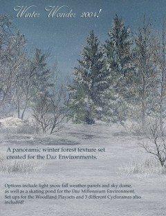 Winter Wonder 2004