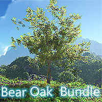 Bear Oak Bundle