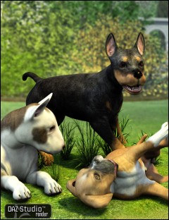 Puppy Poses