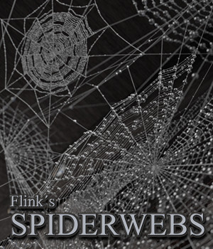 Flinks Spiderwebs