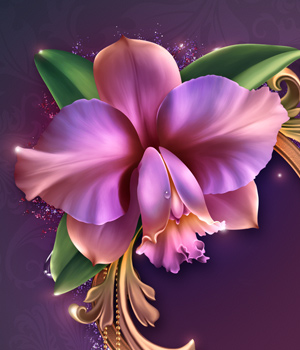 Moonbeam's Romantic Orchids