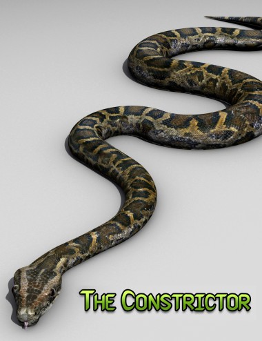 The Constrictor