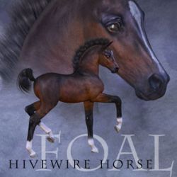 HiveWire Foal