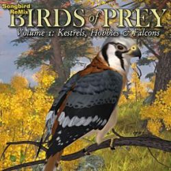 Songbird ReMix Birds of Prey Vol 1- Kestrels, Hobbys & Falcons