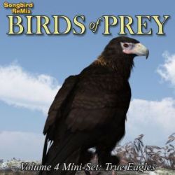 Songbird ReMix Birds of Prey Vol 4 Mini-Set- True Eagles