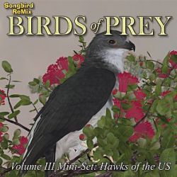 Songbird ReMix Birds of Prey Vol 3 Mini-Set- Hawks of the U.S.
