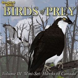 Songbird ReMix Birds of Prey Vol 3 Mini-Set- Hawks of Canada