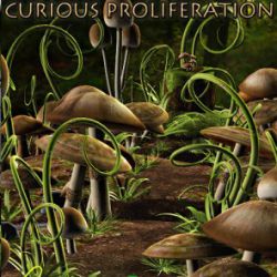 A Curious Proliferation