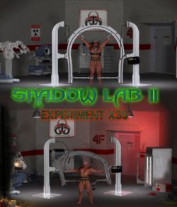 Shadow Lab 2- Experiment X35