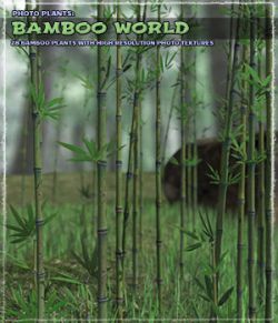 Photo Plants: Bamboo World
