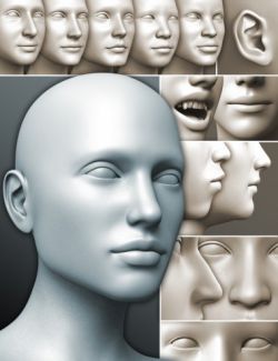 200 Plus- Head & Face Morphs for Genesis 3 Female(s)