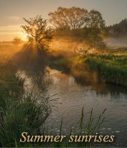 Summer sunrises