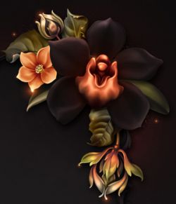 Moonbeam's Macabre Orchids