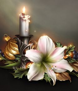 Moonbeam's Festive Amaryllis