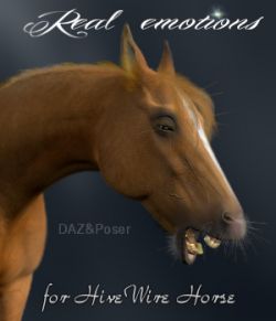 Real Horse Emotions