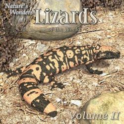 Nature's Wonders Lizards of the World Vol. 2