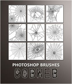 PB- Cobweb