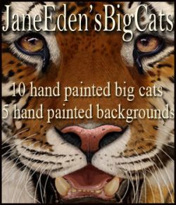 JaneEden'sBigCats