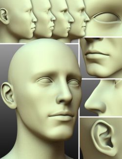 200 Plus - Head & Face Morphs for Genesis 3 Male(s)