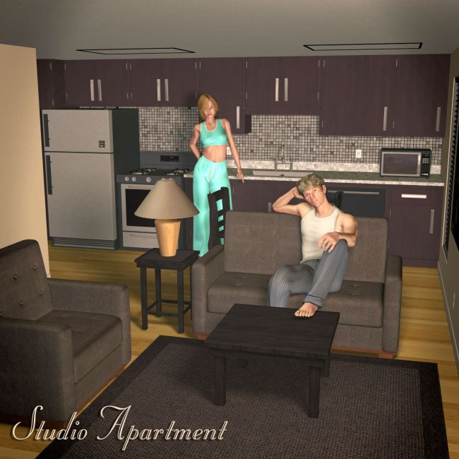 Click here to see preview images for "Studio Apartment" Studio Apartment