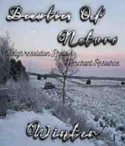 Beauties Of Nature- Winter