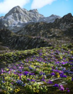 Scattered Plants: Spring Flowers