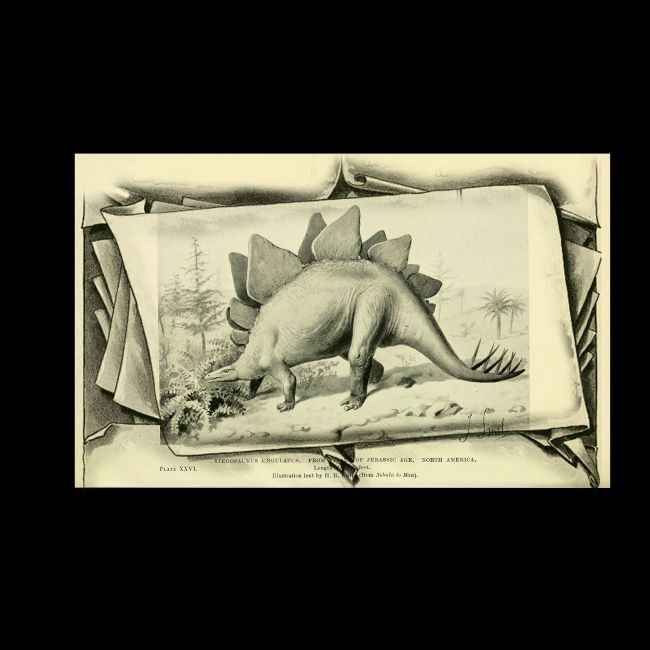 Click here to see preview images for "Old Book Sketched Frames PS Brushes" Old Book Sketched Frames PS Brushes