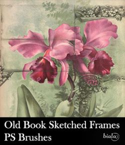 Old Book Sketched Frames PS Brushes