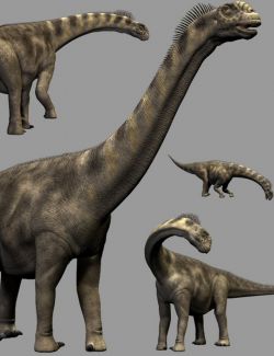 CamarasaurusDR