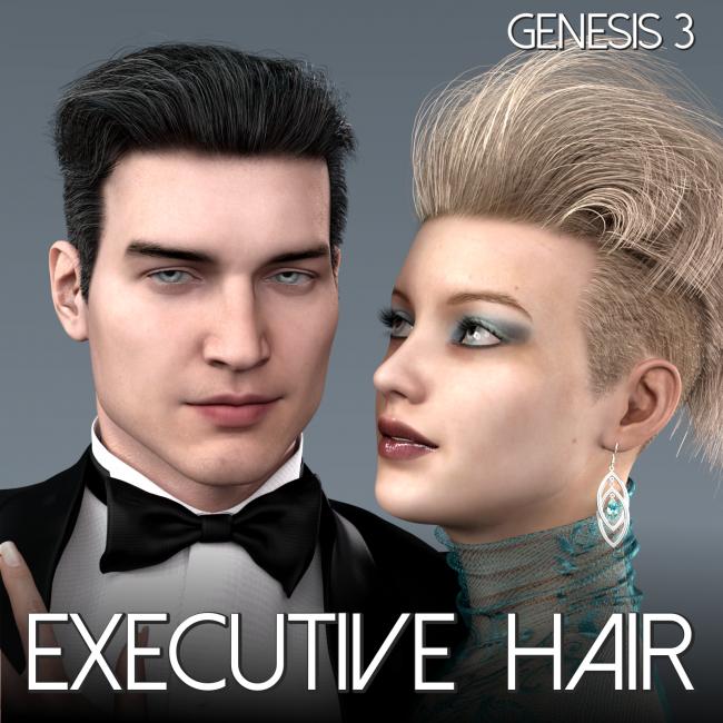 Click here to see preview images for "Executive Hair for Genesis 3 Male and Female" Executive Hair for Genesis 3 Male and Female