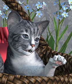 HiveWire Kitten