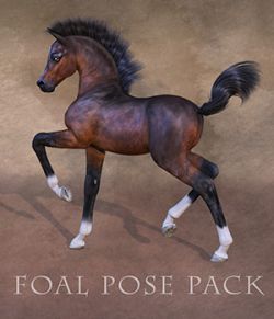 CWRW Pose Pack for the HiveWire Foal