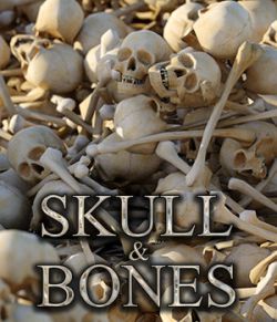 Flinks Skull & Bones
