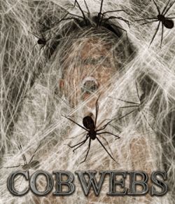 Flinks Cobwebs