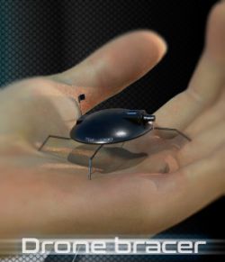 Drone bracer